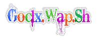  Wap Hay